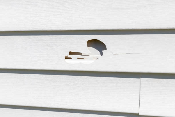 Best Hoarding Cleanup  in Eureka, MO