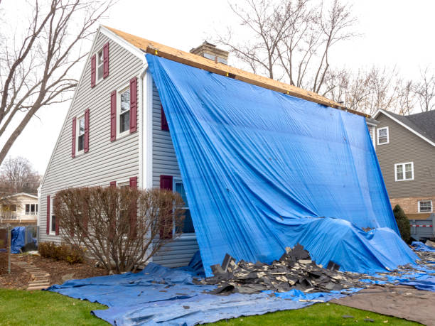 Best Attic Cleanout  in Eureka, MO