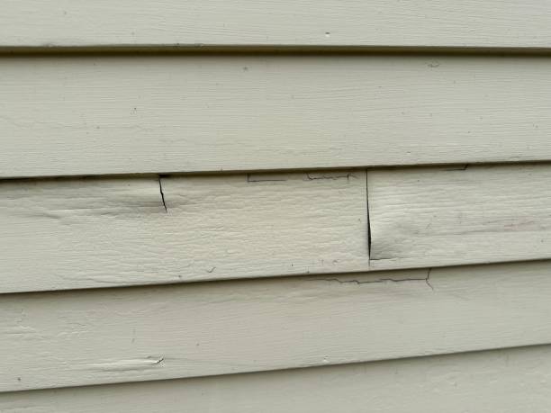 Best Demolition Debris Removal  in Eureka, MO